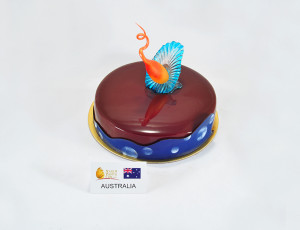 Team Australia cake 1