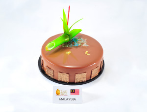 Team Malaysia cake 1