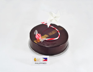 Team Philippines cake 1